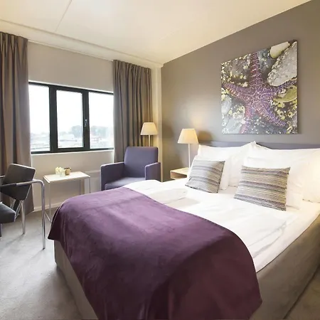 Hotel Quality 4*